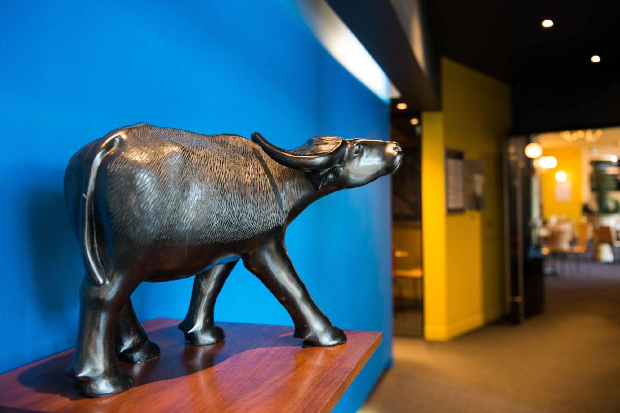 Black Buffalo Hobart Exteriör bild
